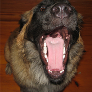 jeanninemealey's avatar